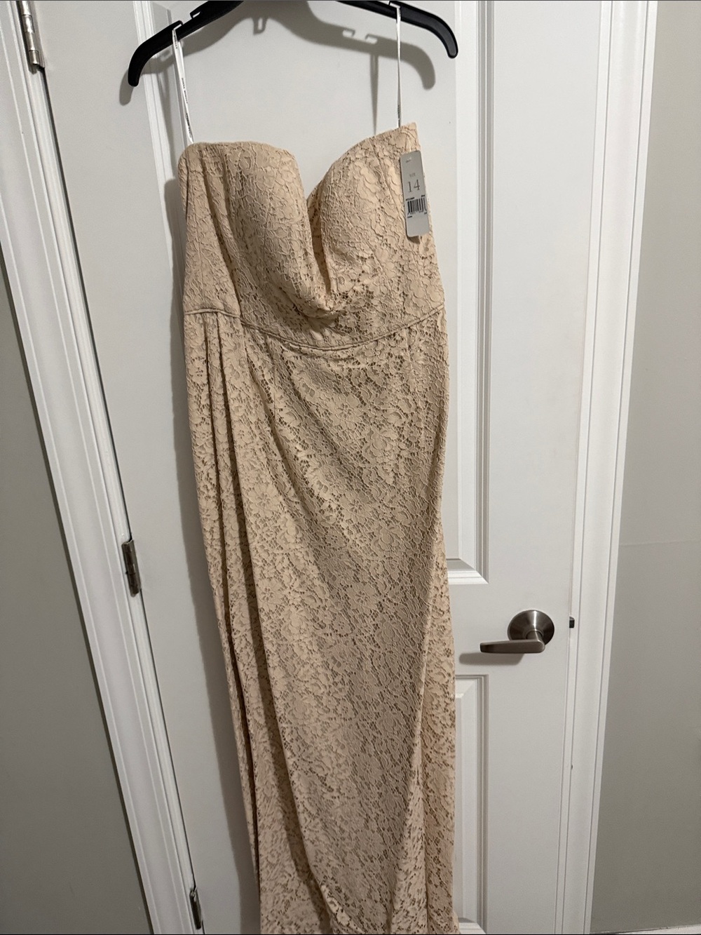 Donna Morgan Strapless Beige Lace Gown